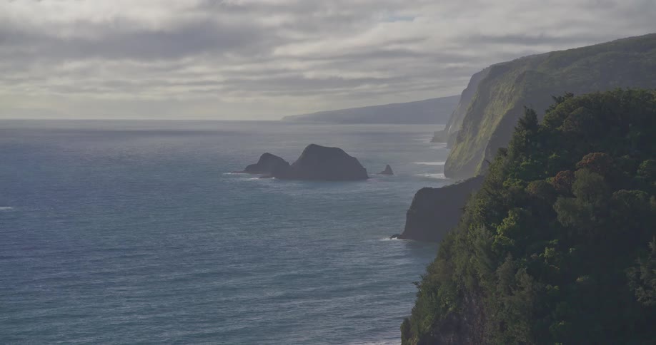 An aerial shot slowly reveals the dramatic, lush green cliffs of the Pololu Valley coastline on the Big Island of Hawaii