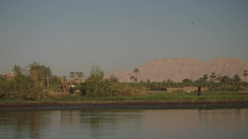 A scenic boat journey along a river in Egypt reveals the lush green riverbanks and distant arid mountains under a clear sky