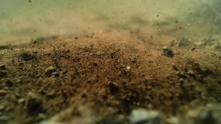 A close up view of the ground being disturbed