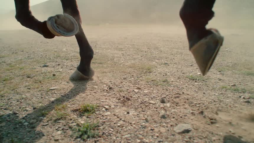 Horse galloping on dusty dirt pasture during the day