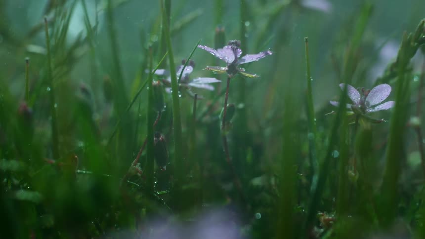The water slowly falls on the grass