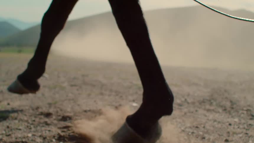 Horse galloping on dusty dirt pasture during the day