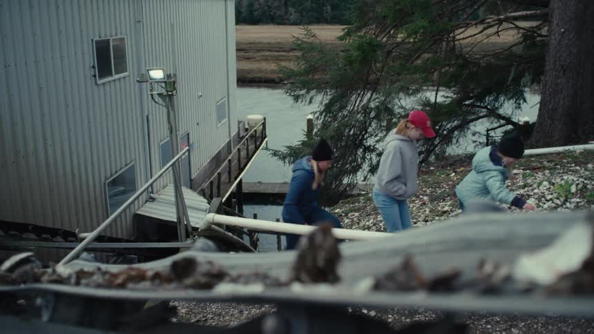 Three people walk up a gravel path from a riverside dock at an oyster farm on an overcast day