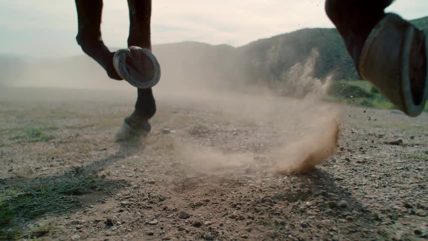 Horse galloping outside on dirt pasture during the day
