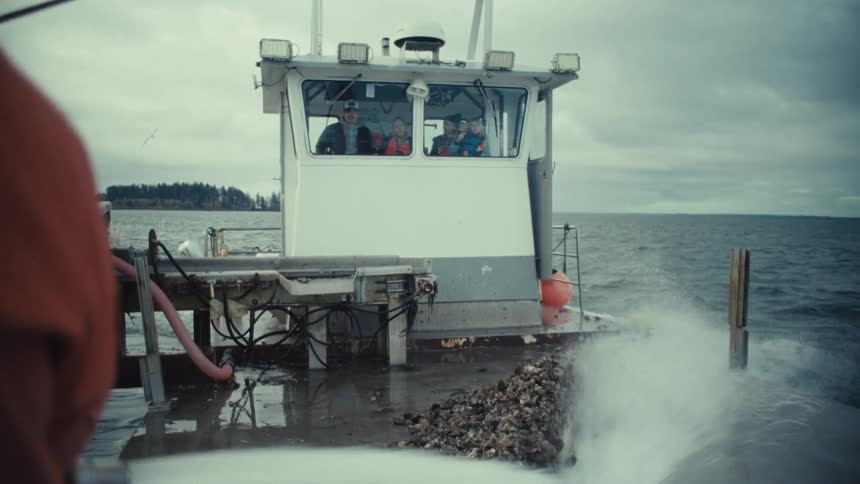 A fisherman sprays freshly harvested oysters on the deck of a boat as a family watches from the cabin
