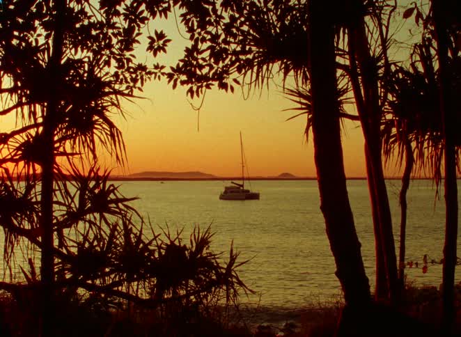 A catamaran bobs on the calm ocean at sunset, viewed through the silhouette of tropical trees on the shore