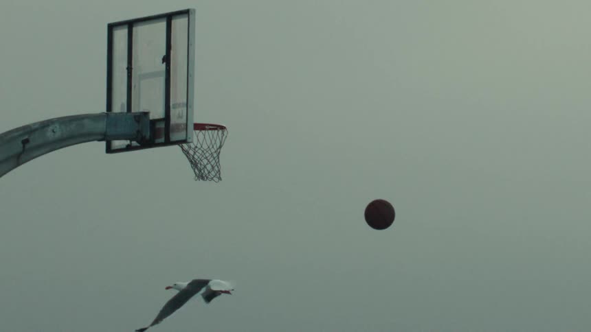 A basketball hangs in mid-air before scoring as a seagull flies by in slow motion