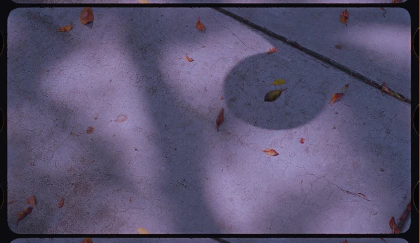 Top-down vintage film shot of a person's shadow dribbling a basketball on a sidewalk covered in autumn leaves