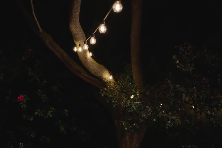 Camera tilts down from festive string lights to a group of young friends chatting together on a couch in a garden at night