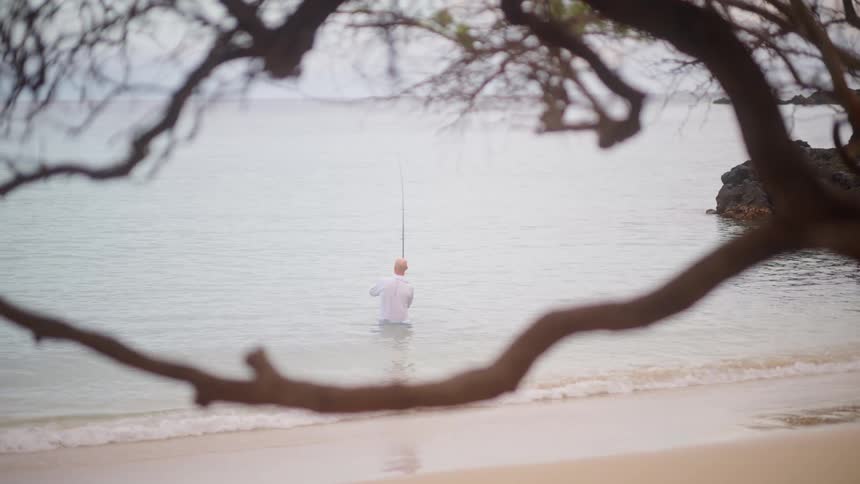 A man fishes peacefully in the calm ocean water, framed by the branches of a tree from the sandy shore