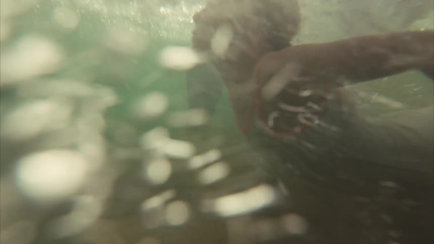 A joyful young girl in a swimsuit playfully splashes water before diving into the ocean in slow motion