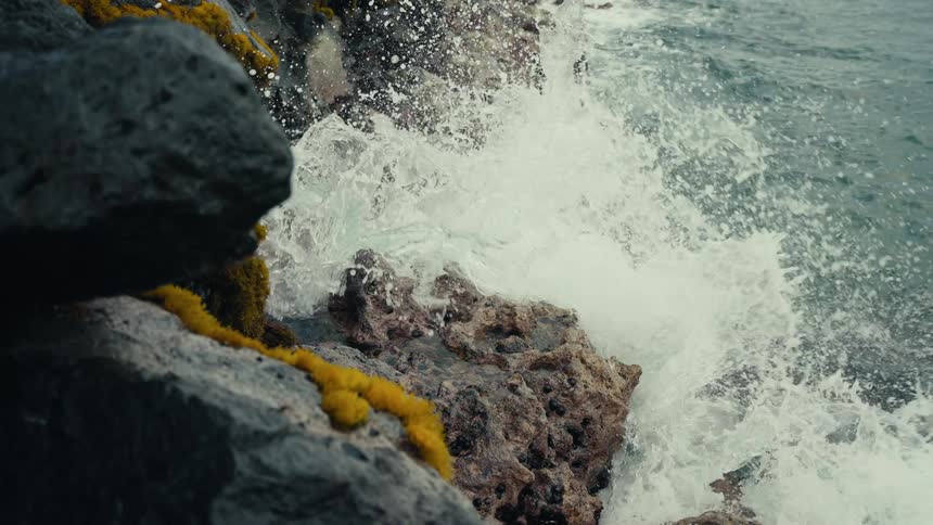 A powerful ocean wave crashes against a rocky shoreline covered in yellow moss in dramatic slow motion