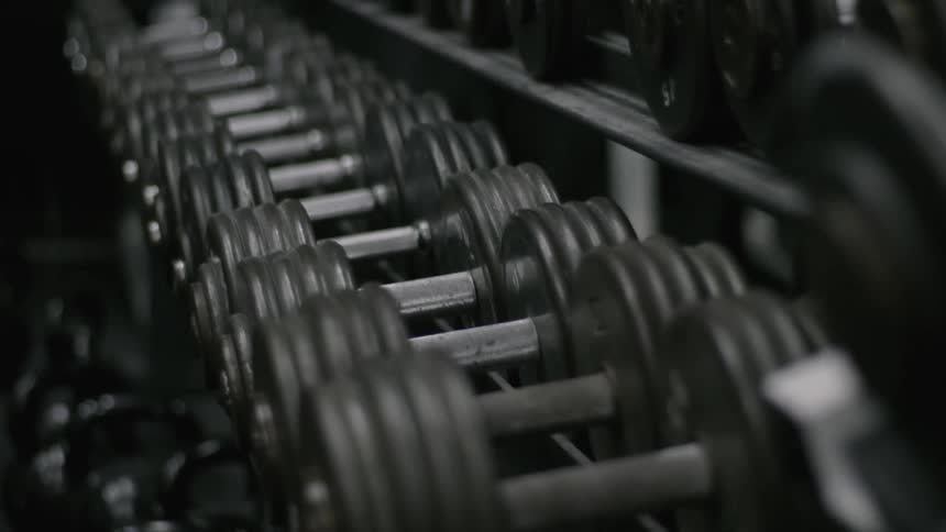 Rows of dumbbells resting on a rack