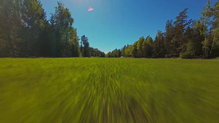 Dynamic low-angle FPV drone flight speeding across a lush green meadow between dense forests on a sunny day