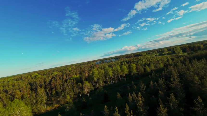 A dynamic aerial FPV drone view flying over a vast, sun-drenched forest under a clear blue sky towards a distant lake