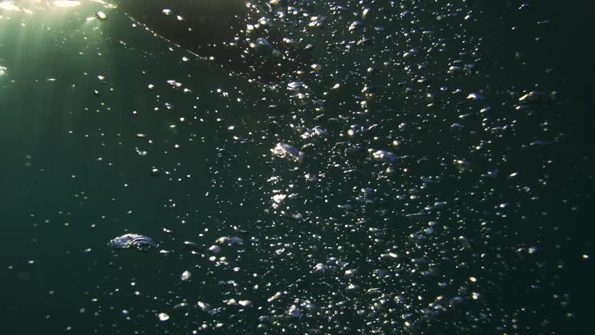 Slow motion bubbles rise through dark water towards the sunlit surface