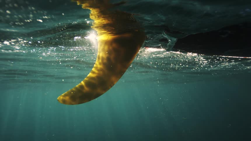 An underwater shot of a surfboard fin with beautiful sun rays beaming through the serene ocean water
