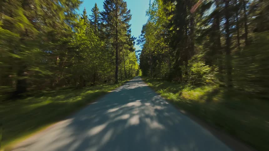 A fast-paced point-of-view drive down a scenic paved road through a sunlit green forest