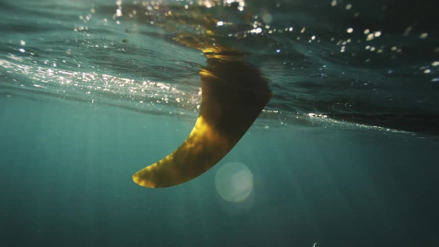 The yellow fin of a surfboard is seen from an underwater perspective, with beautiful sun rays beaming through the tranquil ocean water