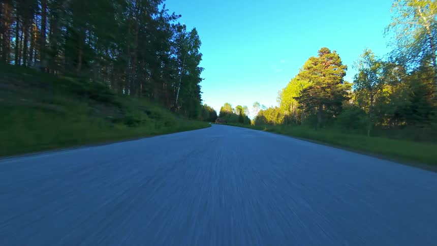 A dynamic point-of-view shot speeds along an empty country road bordered by a sun-drenched forest