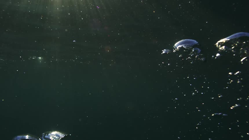 Slow motion bubbles rise through dark water illuminated by ethereal sunbeams