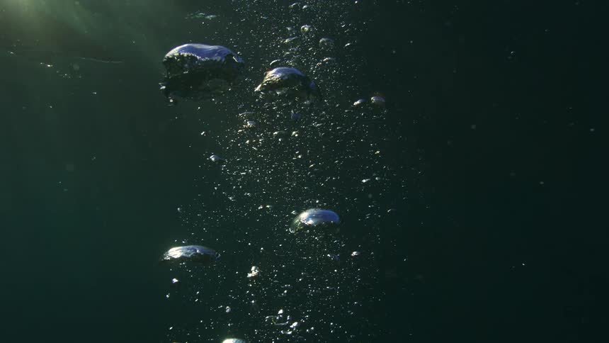 Ethereal air bubbles rise through dark, deep water as sunlight streams from the surface in slow motion