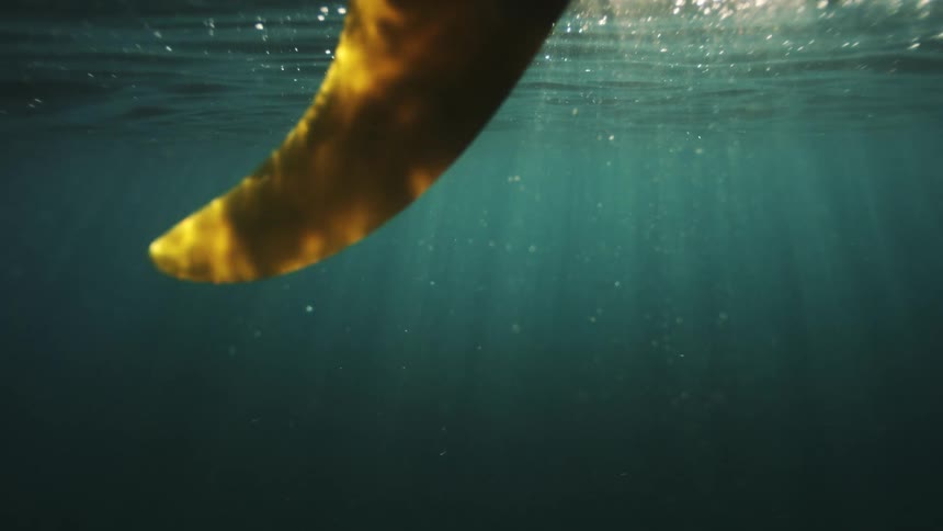 An artistic underwater view of a yellow surfboard fin as beautiful sun rays pierce the deep ocean water