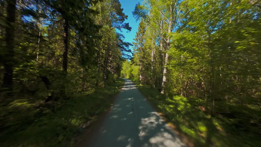 Slowly advancing down a tranquil paved path through a vibrant green forest on a bright sunny day