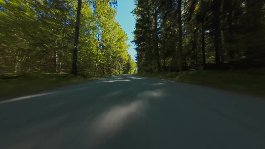 A fast-paced point-of-view drive along a scenic country road through a lush green forest on a sunny summer day