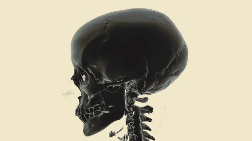 A 3D rendering of a glossy black human skull and cervical spine rotating 360 degrees in a seamless loop against a solid background