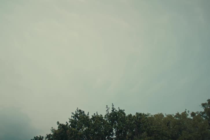 A static shot of a pale, overcast sky above a treeline as the wind blows gently