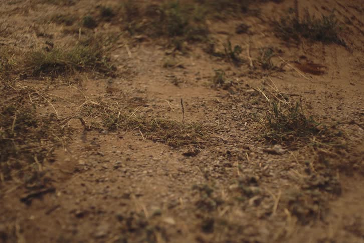 Static close-up shot of a dimly lit, dusty patch of earth with sparse grass at night
