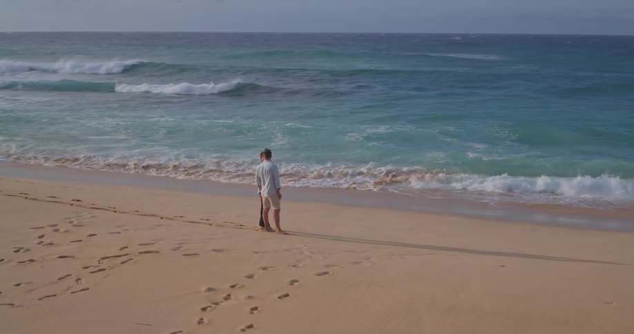 A loving couple holds hands while standing on a sandy beach, watching the tranquil ocean waves roll in