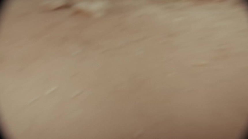 An orange tabby cat approaches the camera on a dusty path before the shot pans over to reveal a donkey standing by a rock wall