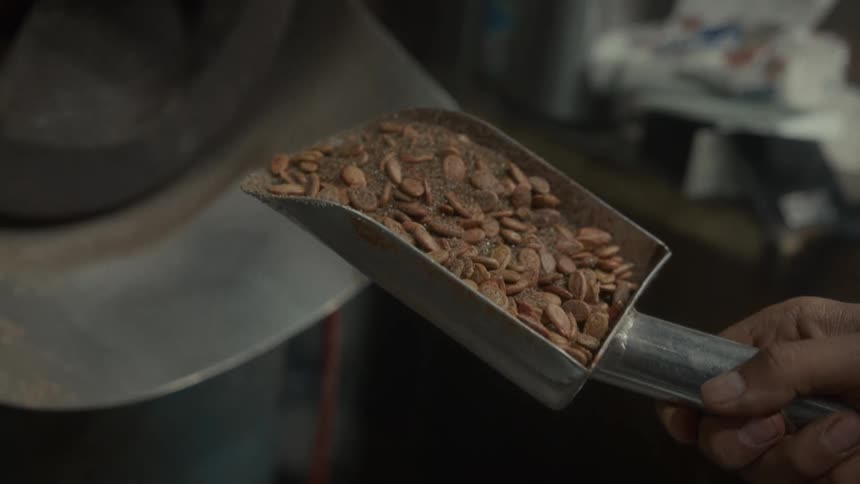 A worker scoops seasoned roasted melon seeds from an industrial machine and sifts them in slow motion