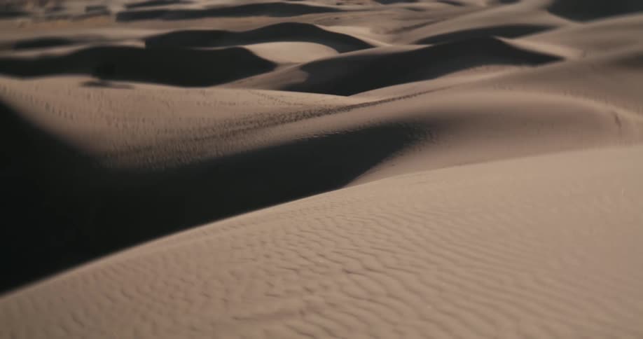 A vast expanse of rolling sand dunes is captured in a static shot, with warm light creating deep shadows and highlighting the textured ripples in the sand