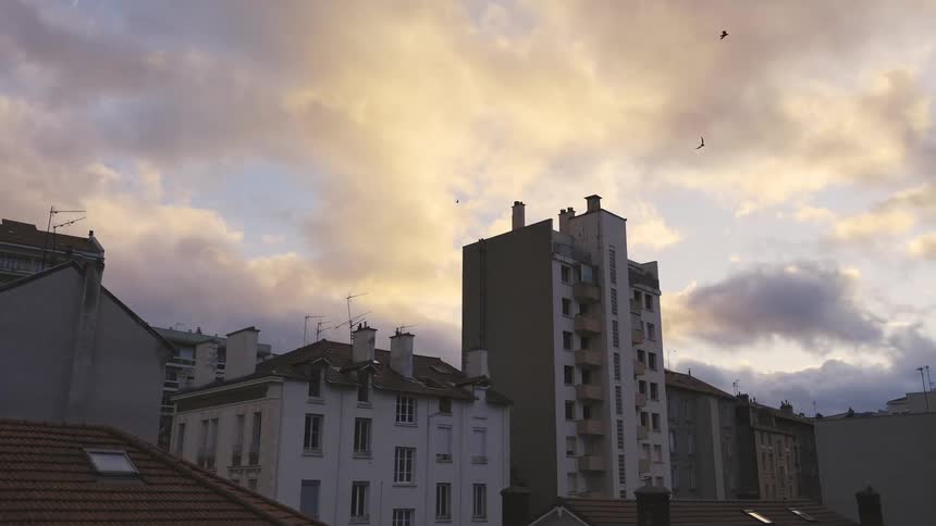 A serene view of city rooftops under a dramatic, golden-hour sky as a flock of birds flies past