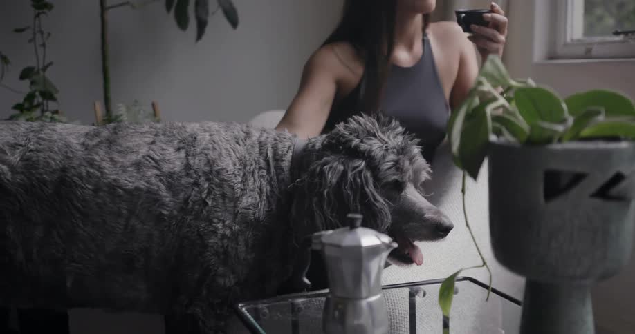 A woman drinks and pets her dog
