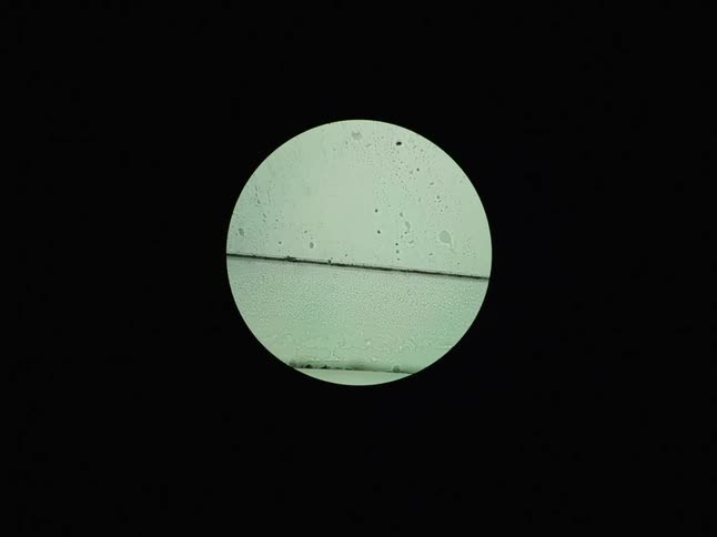 A scientific view through a microscope reveals tiny particles and organisms in a petri dish