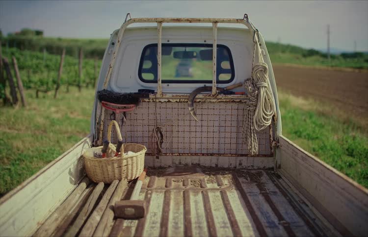 Cinemagraph of a rustic farmer's pickup truck with tools parked between a vineyard and a plowed field