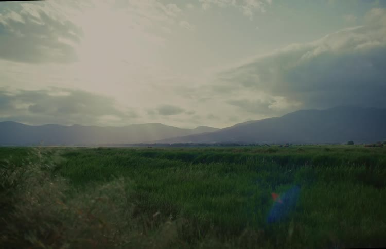 Sunbeams break through clouds, illuminating a tranquil, windy marshland with mountains on the horizon