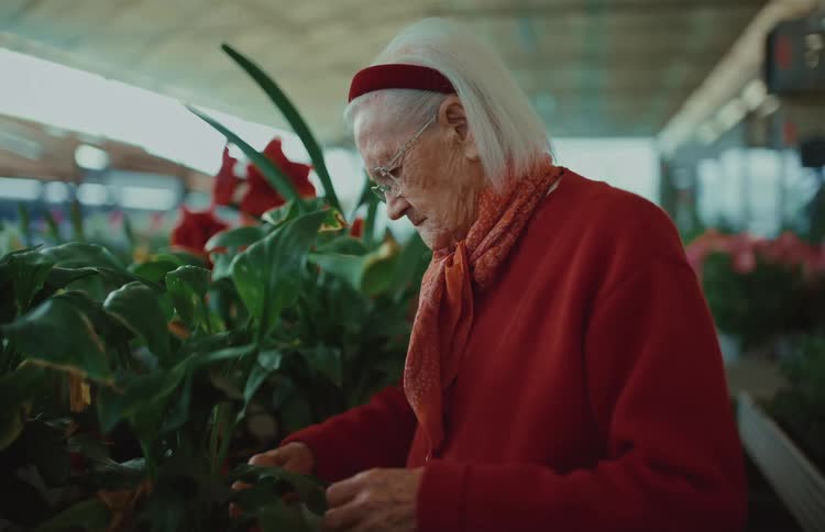 A senior woman with white hair wearing a red sweater carefully inspects a green plant in a garden center