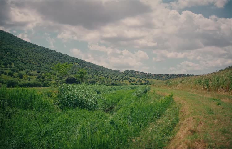 A static wide shot of a lush green valley with a grassy path and a creek surrounded by rolling hills under a cloudy sky