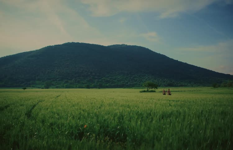 Two men walk shirtless through a beautiful green field towards the camera with a majestic forested mountain in the background