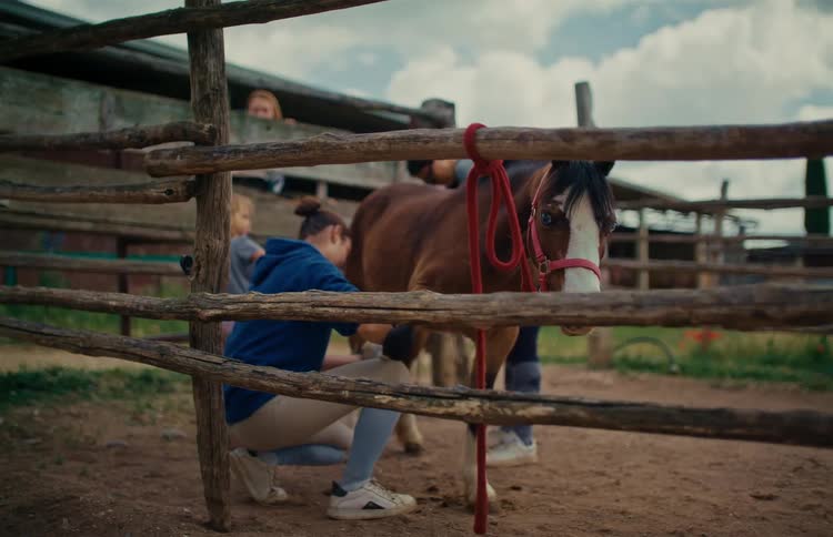 A young woman in a blue hoodie carefully brushes the leg of a brown and white horse in a rustic farm paddock