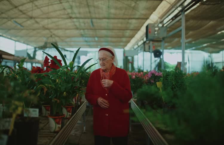 An elderly woman in a red cardigan slowly walks through a greenhouse, admiring and touching the leaves of the plants