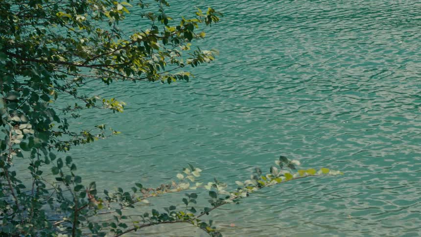 Sunlight sparkles on the serene, turquoise surface of a clear lake with green leaves in the foreground