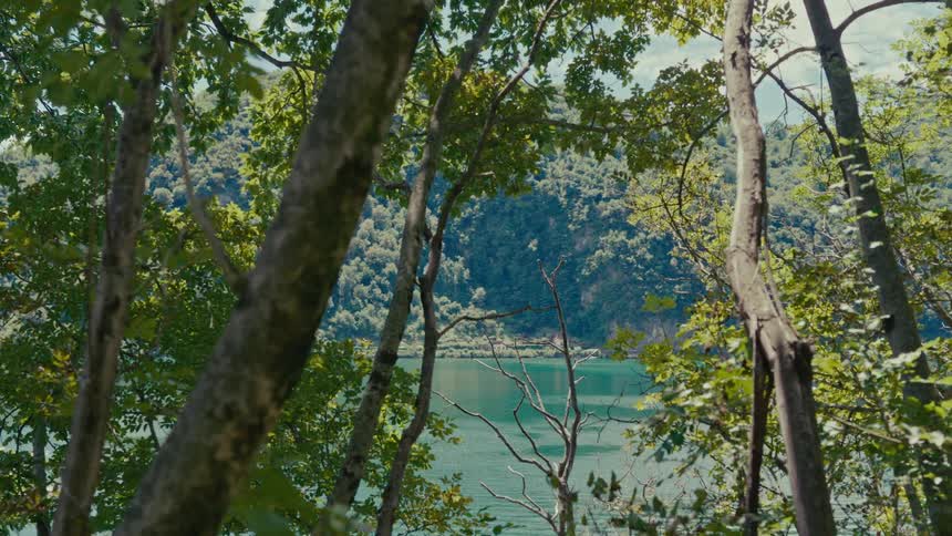 A tranquil lake and lush green hills seen through the sunlit leaves of a forest