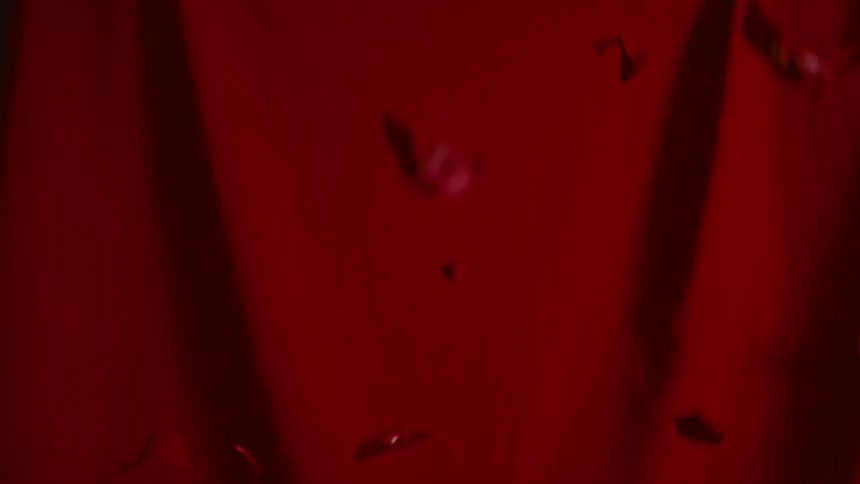 Dark rose petals fall in slow motion in front of a dramatic red curtain background