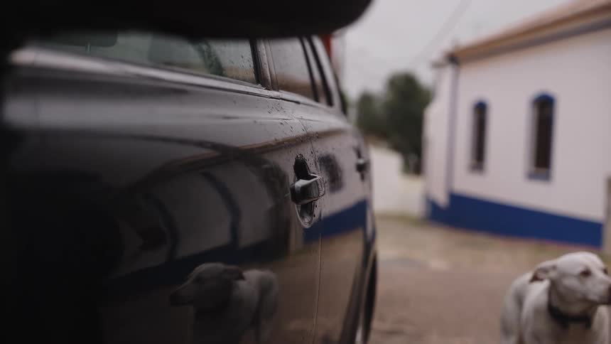 A person's hand locks a black car door with a key in slow motion as their dog waits nearby